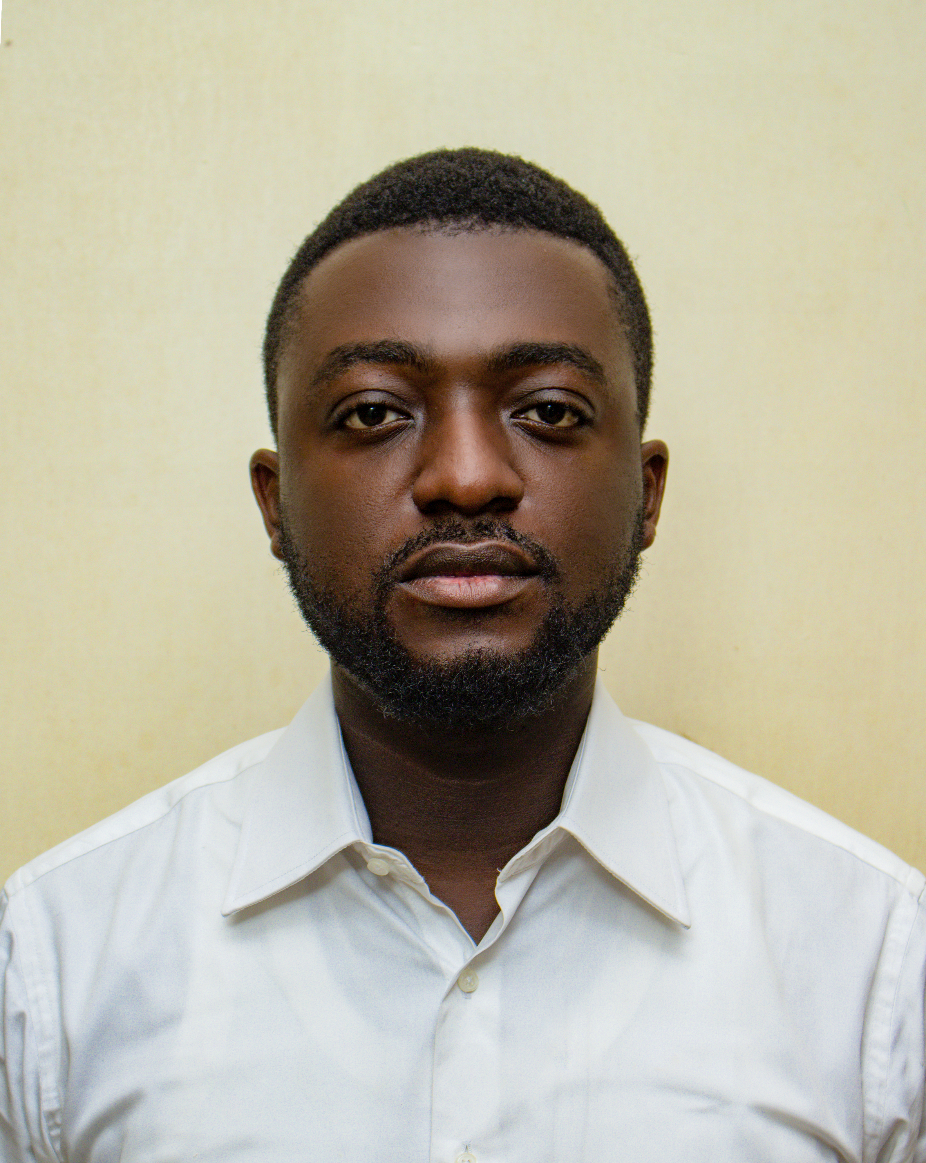 Lead Product Manager and Strategist