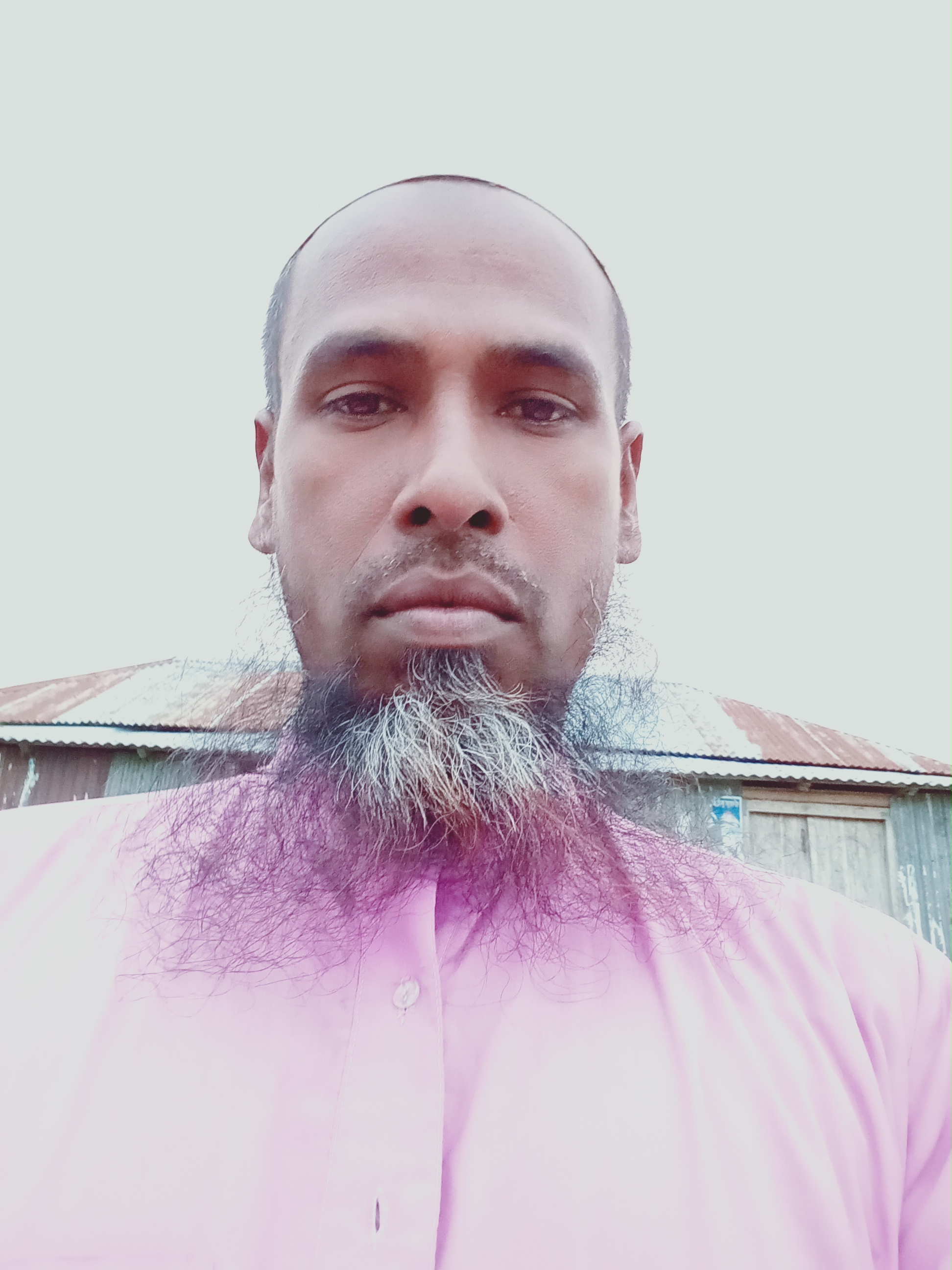 Content Writer