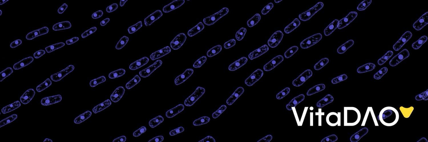 VitaDAO cover image