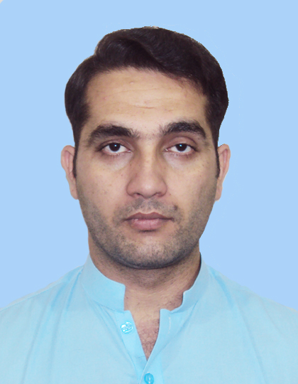 Blockchain Developer