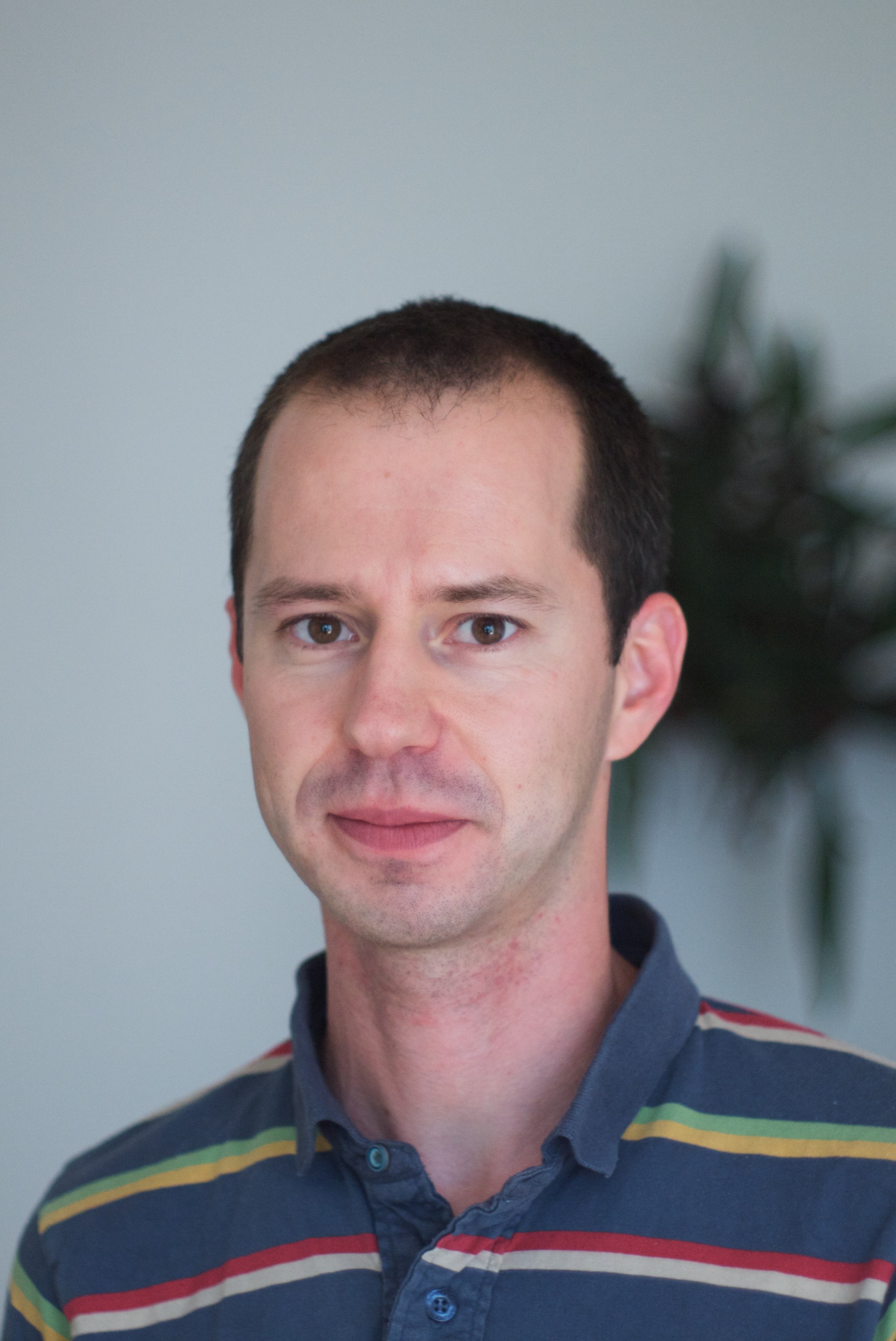 Solidity Developer