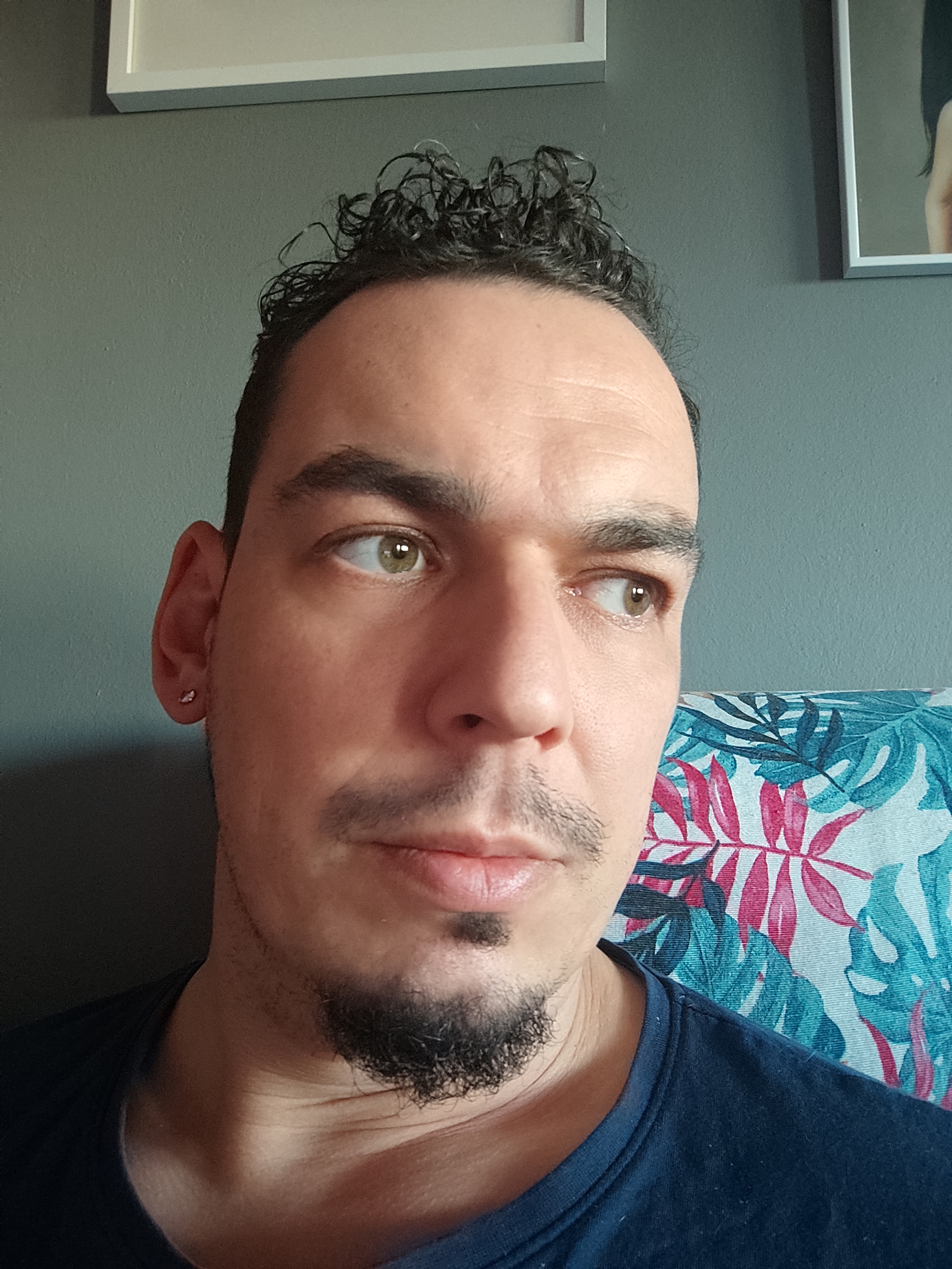 Social and Community Lead (Telegram, Twitter, Reddit)
