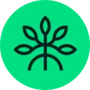 Mangrove logo