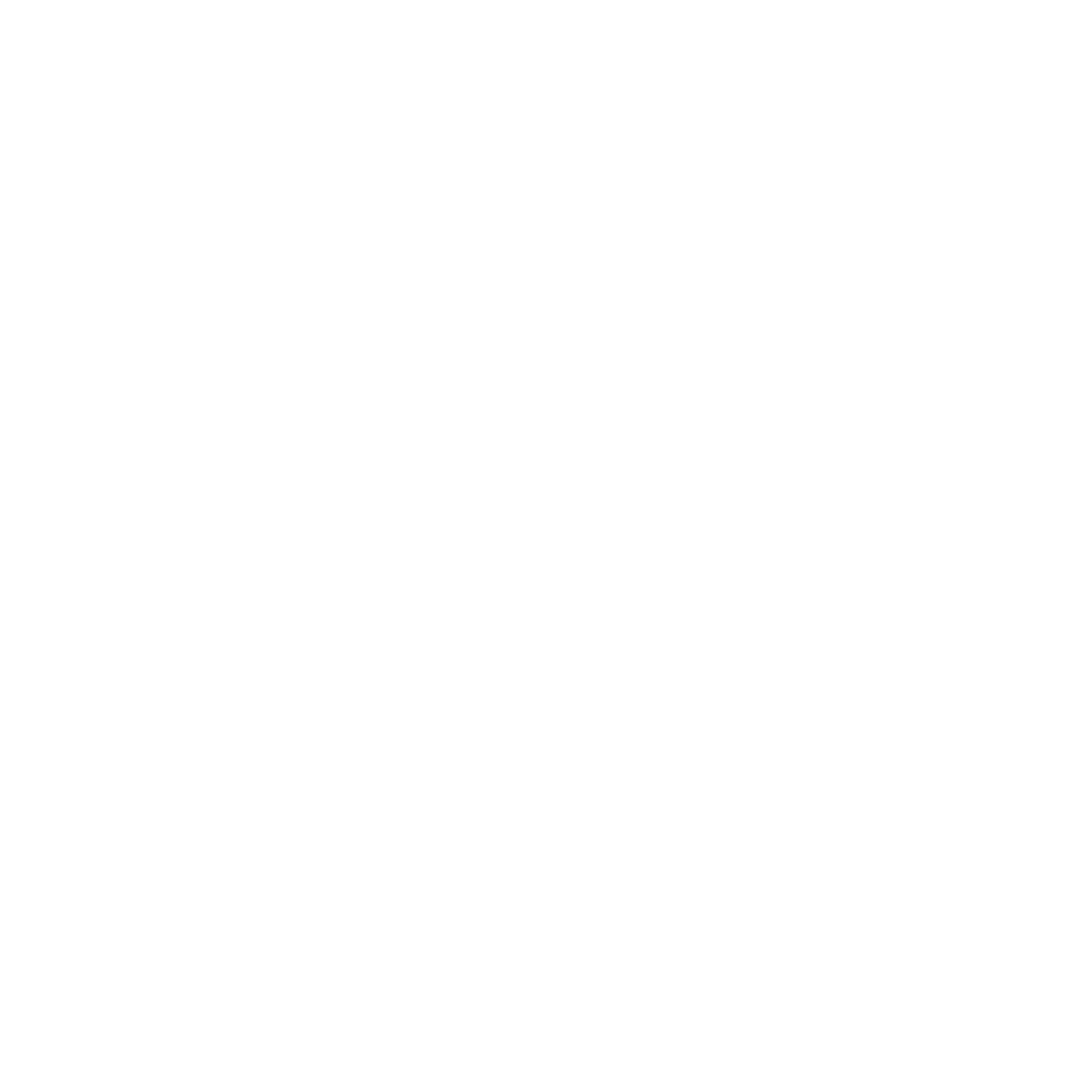Gnosis Limited logo white