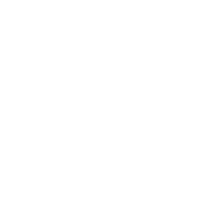 Gnosis Limited logo white