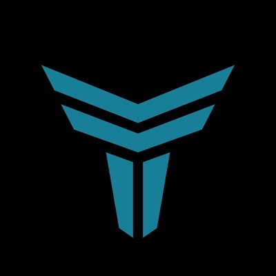 Tycoon Trading Ltd. logo