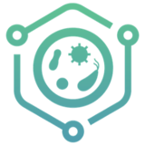 Web3API logo