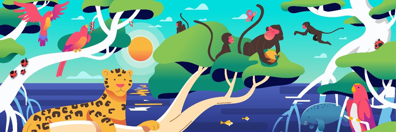 Mangrove cover image