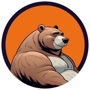 Beraborrow logo