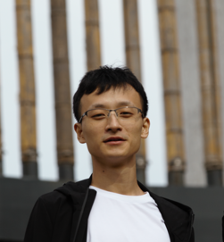 NFT Specialist | Solana, Ethereum