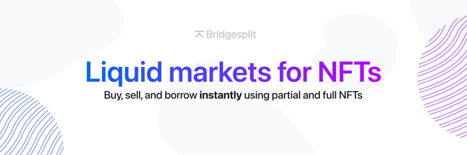 Bridgesplit cover image