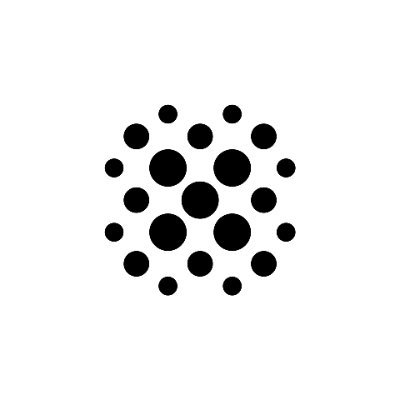 Risk Labs logo