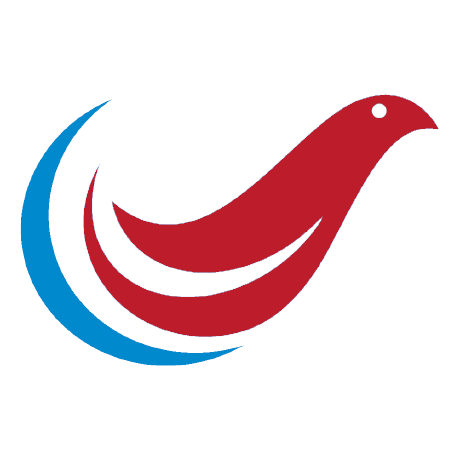 Blockchain developer