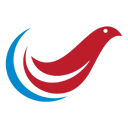 Blockchain developer