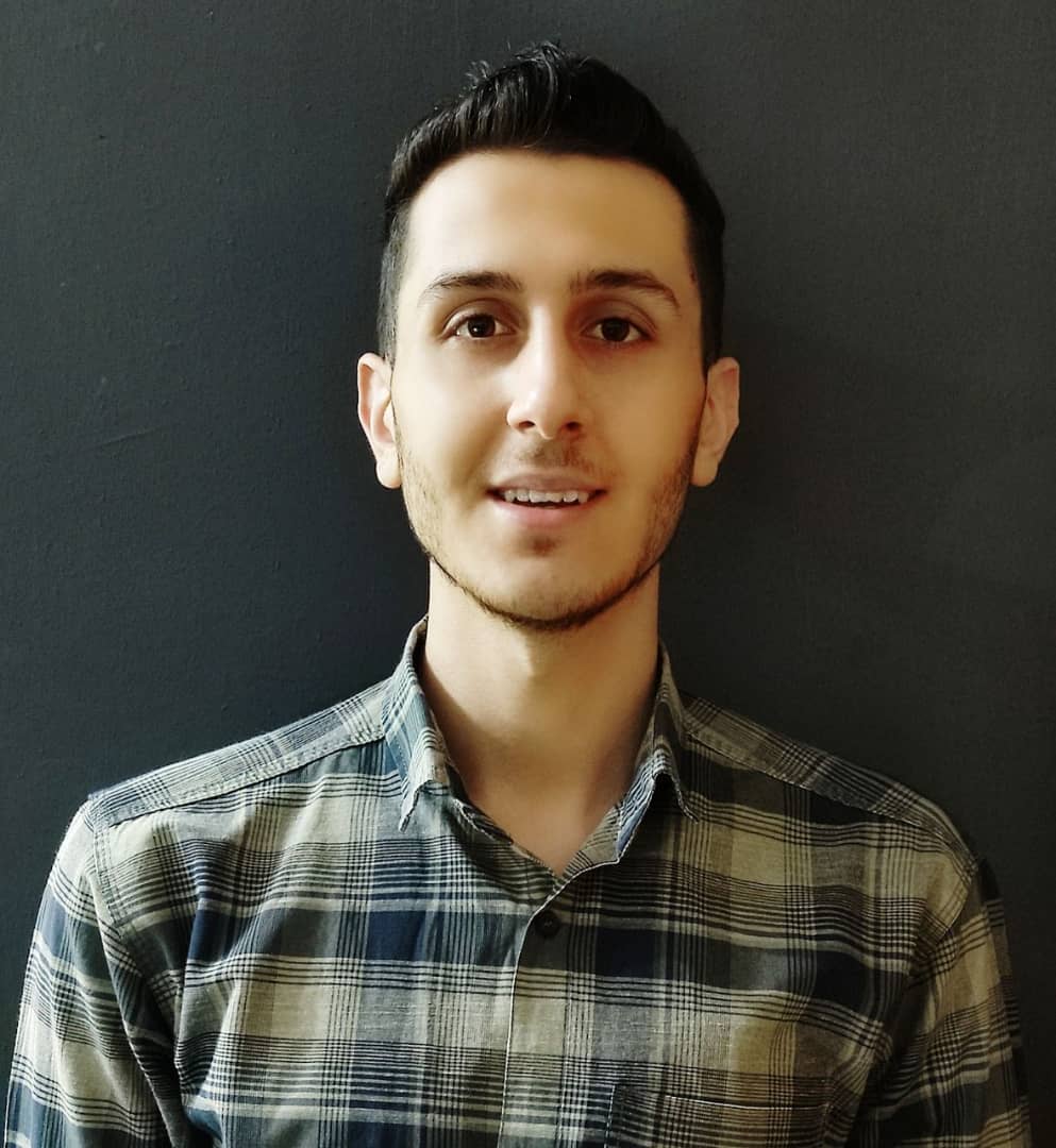 blockchain developer