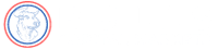 Bulls Capital Markets jobs