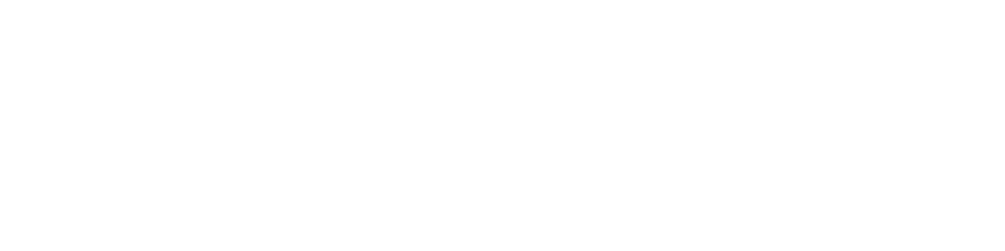 QuickNode logo white
