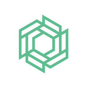 Bitlocus logo