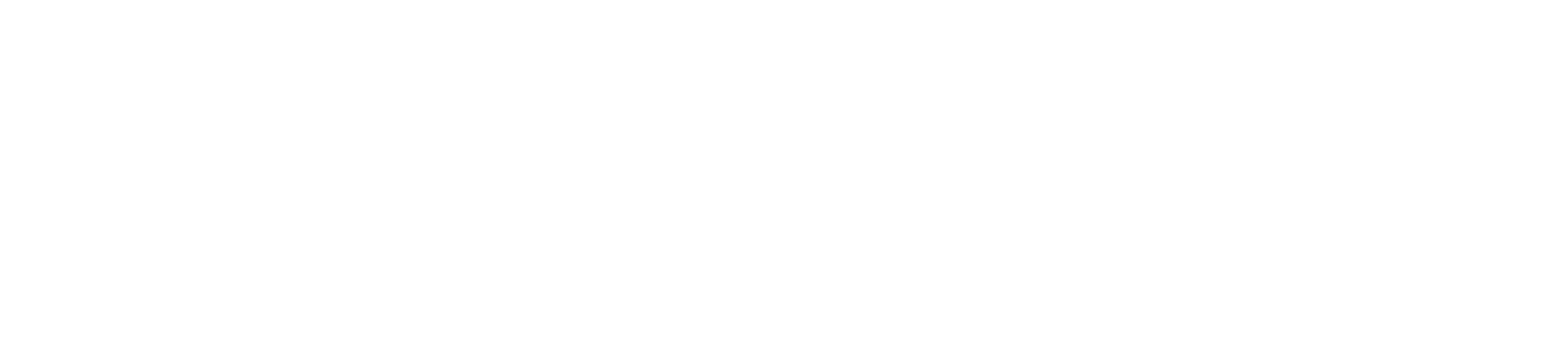 Sapien logo white