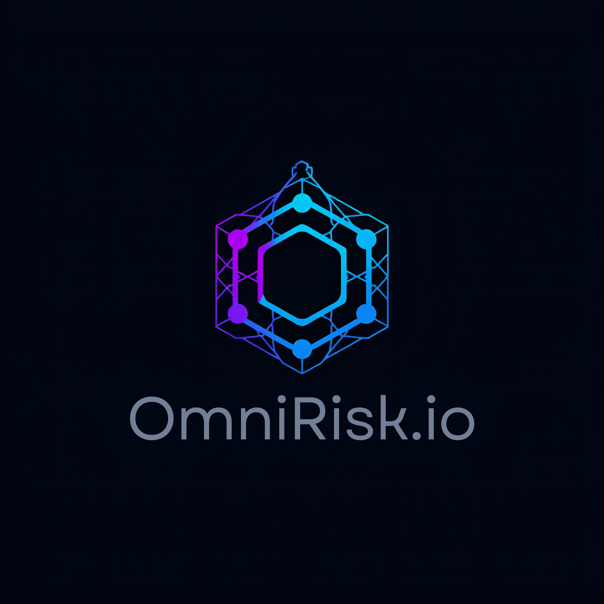 OmniRisk.io logo