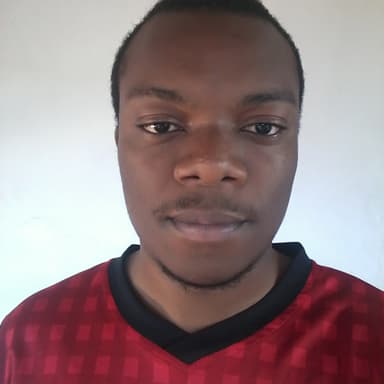 Solidity Developer