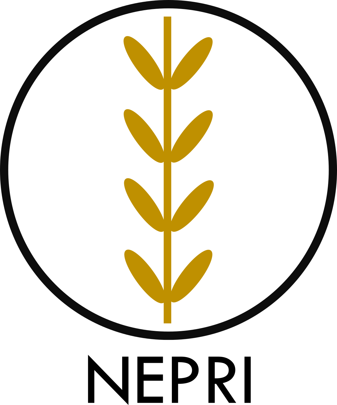 NEPRI Finance logo