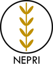 NEPRI Finance logo