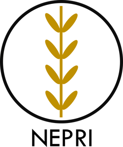 NEPRI Finance logo
