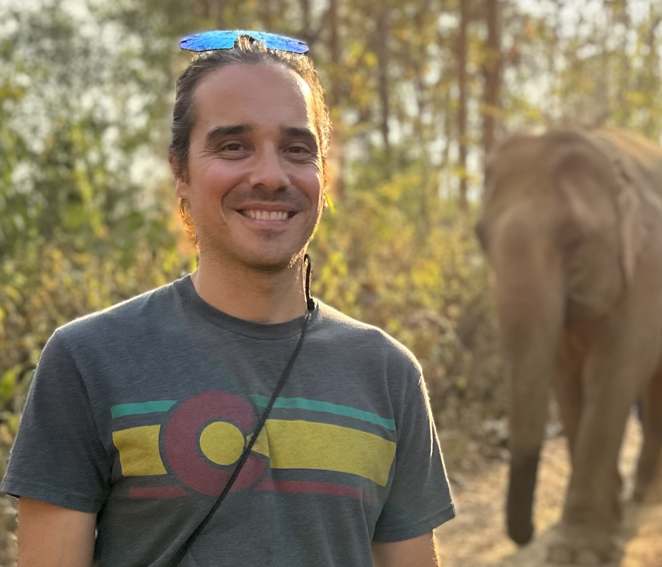 Blockchain Developer