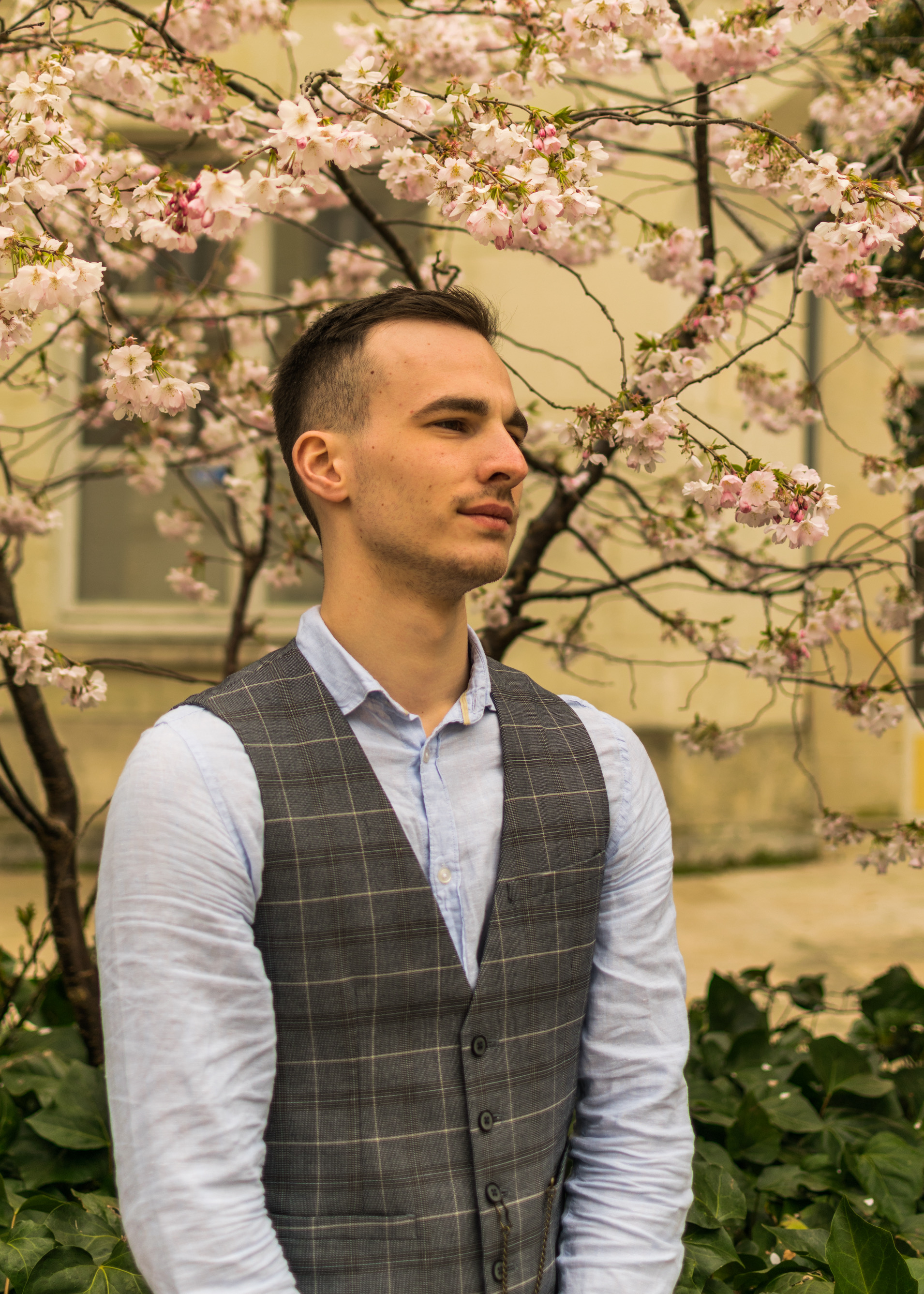 Blockchain Consultant