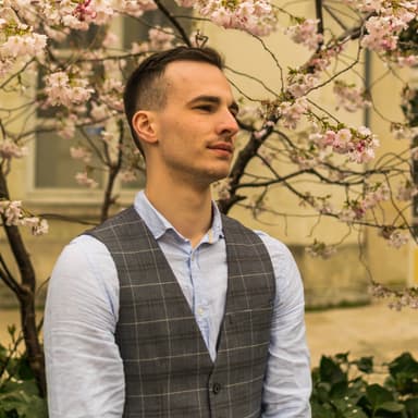 Blockchain Consultant