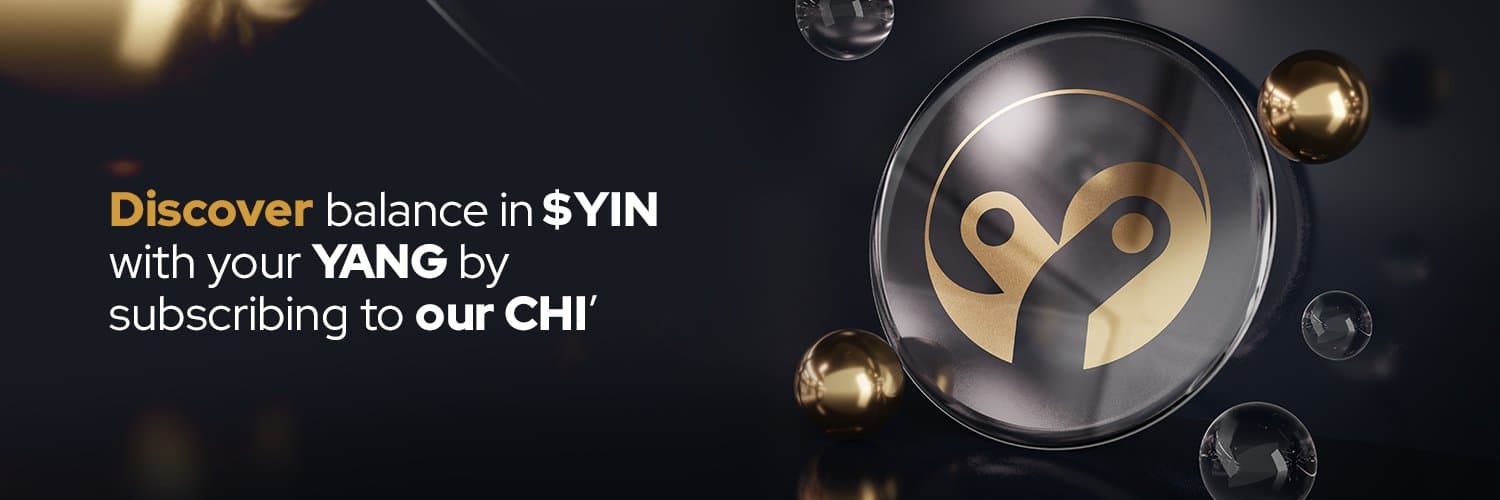 YIN Finance cover image