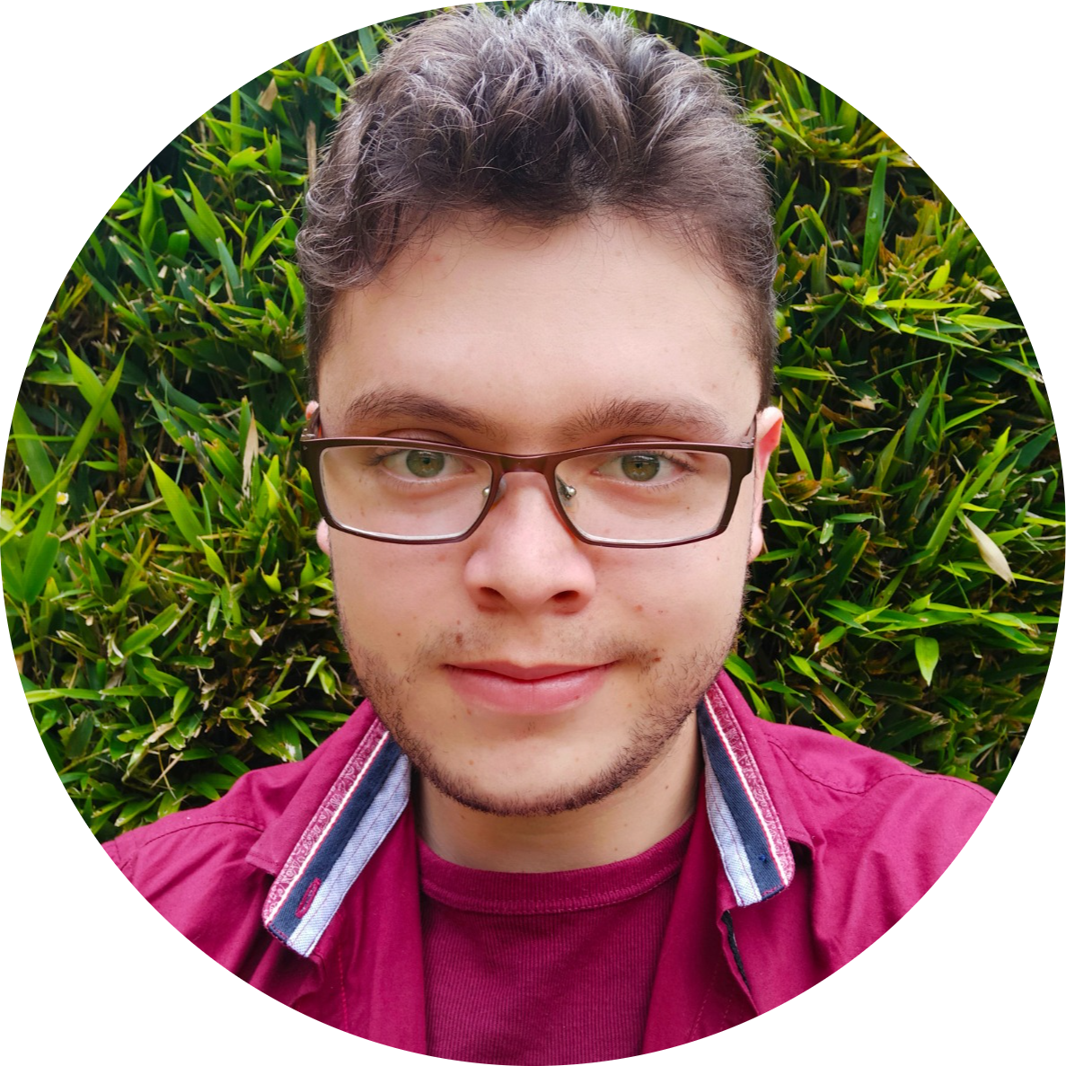 Blockchain Developer - Solidity