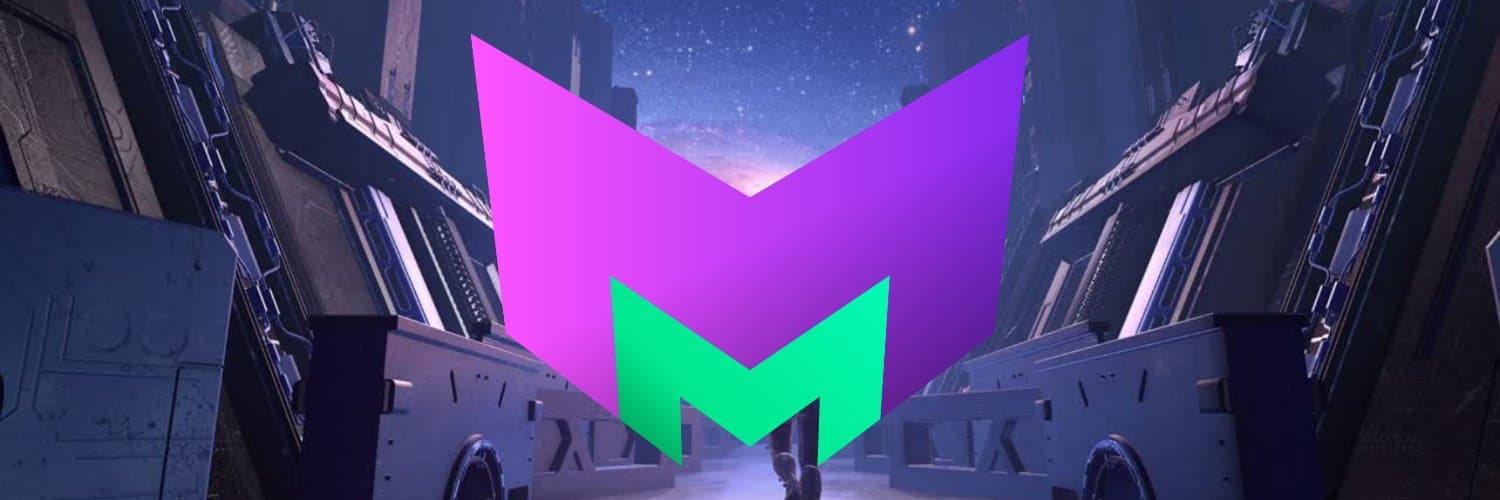 MetaMetaVerse cover image