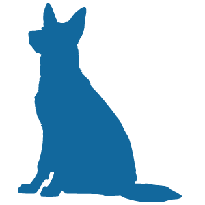 Lucky Shepherd logo