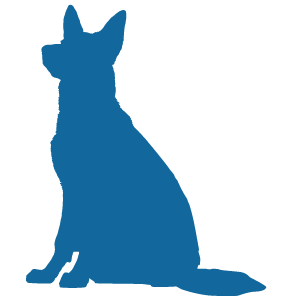 Lucky Shepherd logo