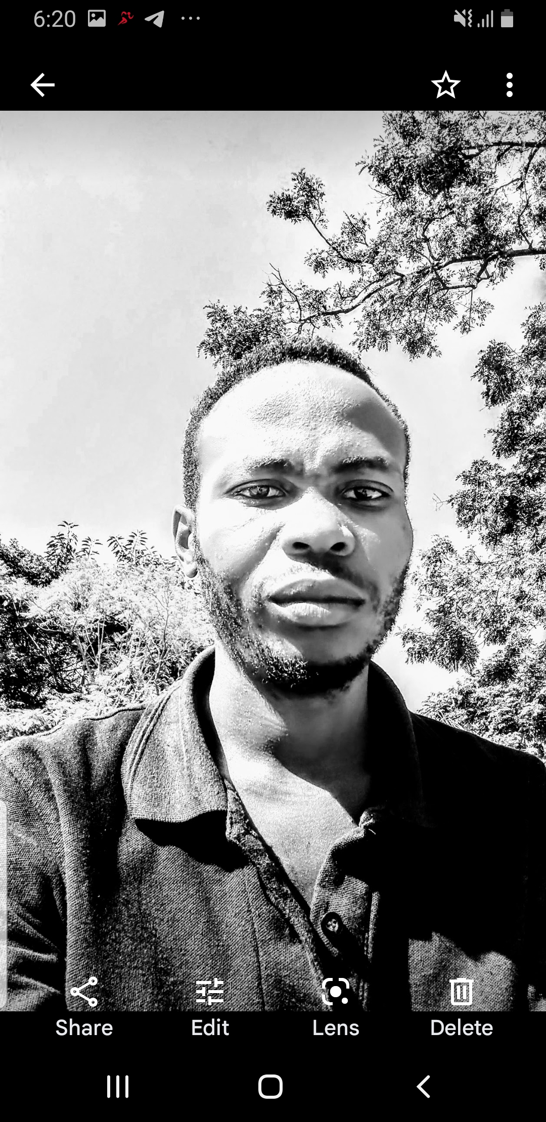 Web Developer