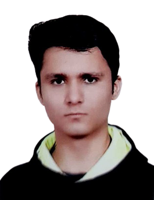 Developer