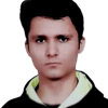 Developer