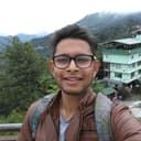 Software developer