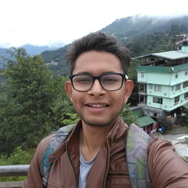 Software developer