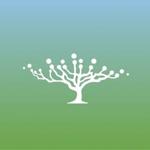 Carbonbase logo