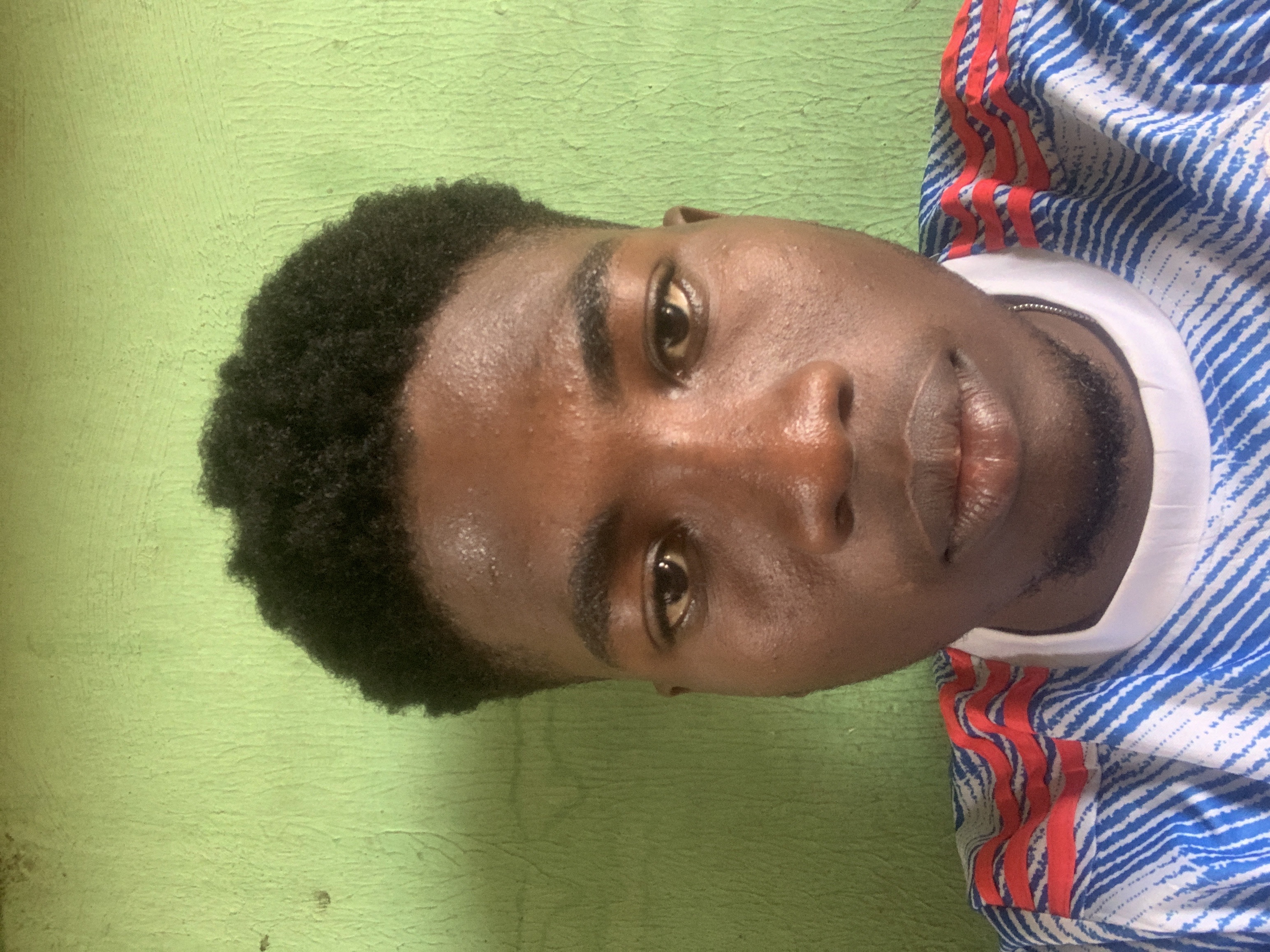 Content Writer