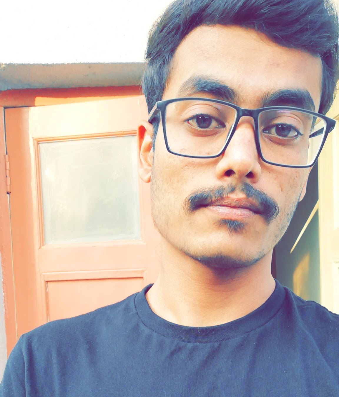 Social and Community Lead (Telegram, Twitter, Reddit)