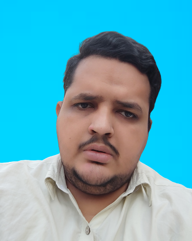 Social and Community Lead (Telegram, Twitter, Reddit)