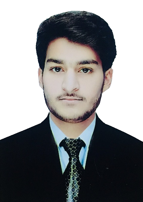 Full Stack Blockchain Developer