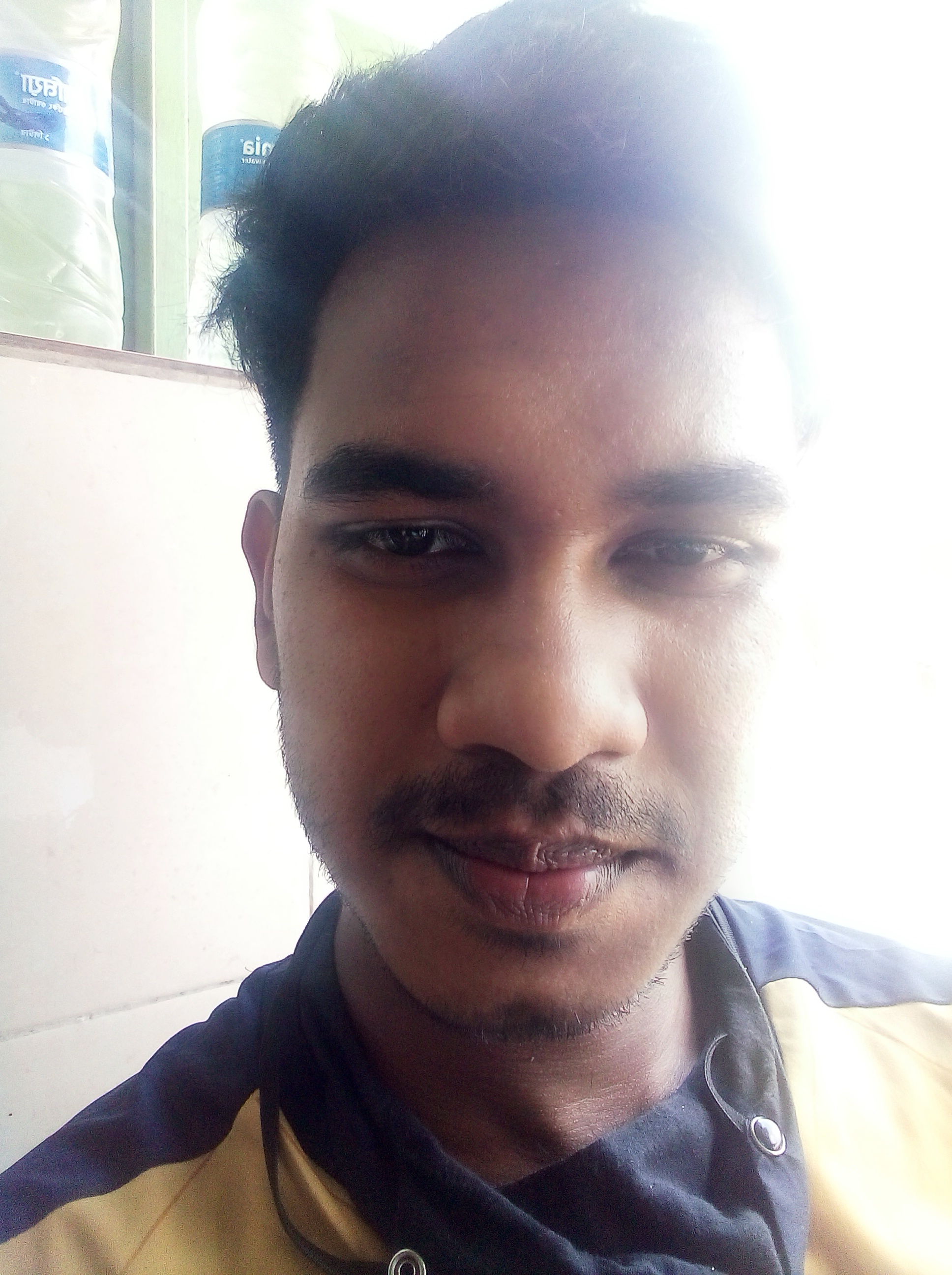 Content Writer