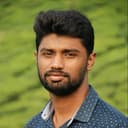 Rust/Golang Developer