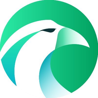 Hawksight.co logo