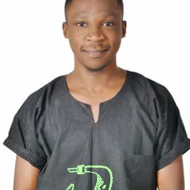 Content Writer